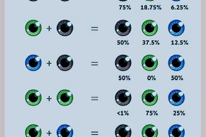 Arabian Secret slot game