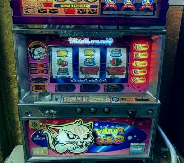 Cockatoo slot