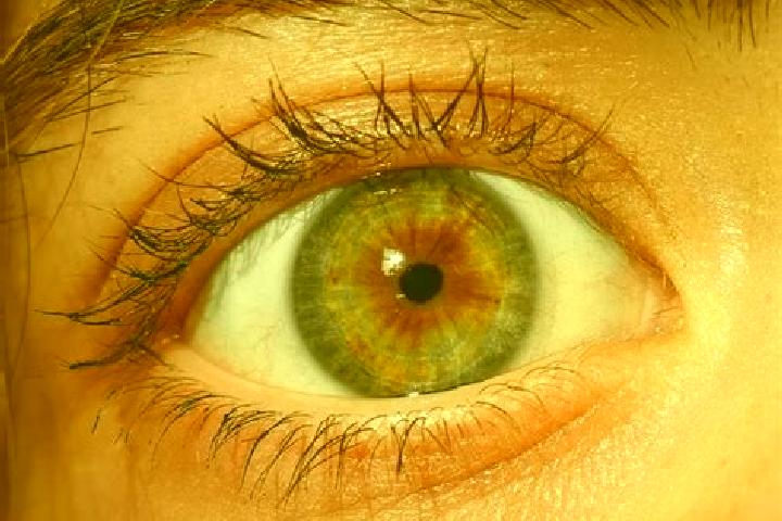 Crash Bonus (TaDa Gaming) slot