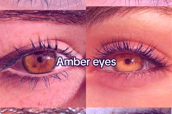 Crypt Crusade Gold slot game