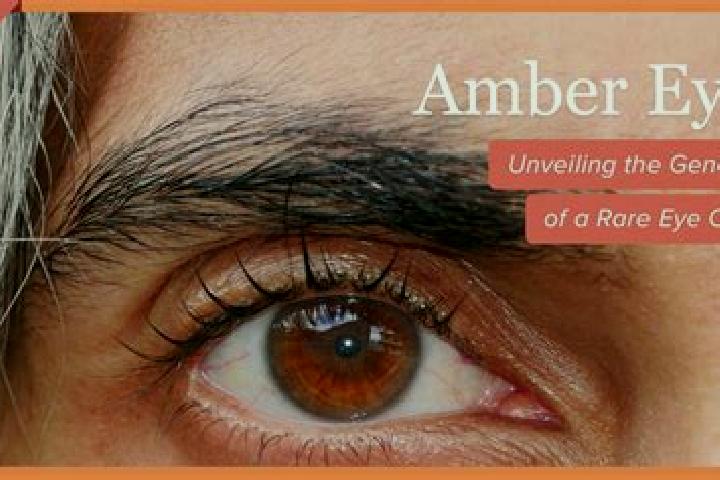 Dia del Mariachi Megaways slot