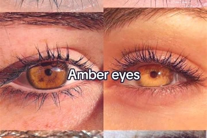 Dual Zeus Wheels (3x3) online slot
