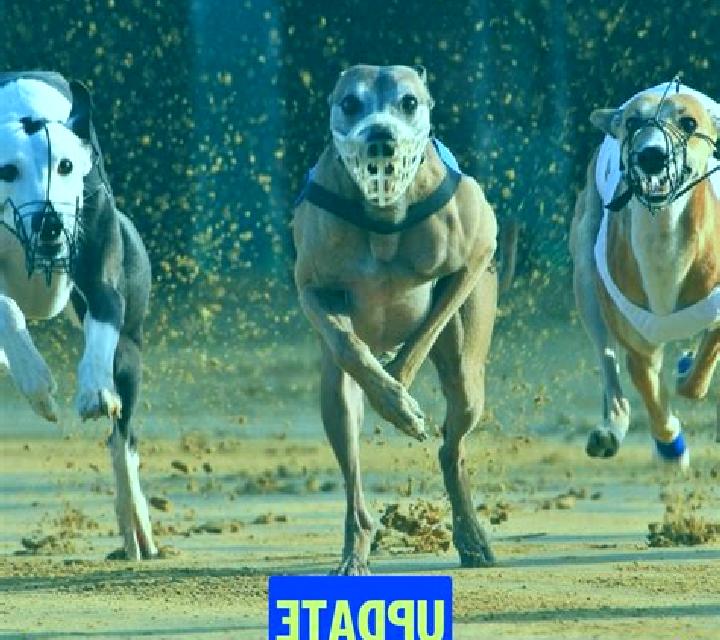 Goldliner slot machine