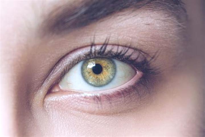 JunglePop slot game
