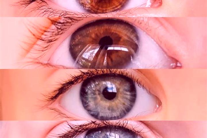 Jurassic Giants slot