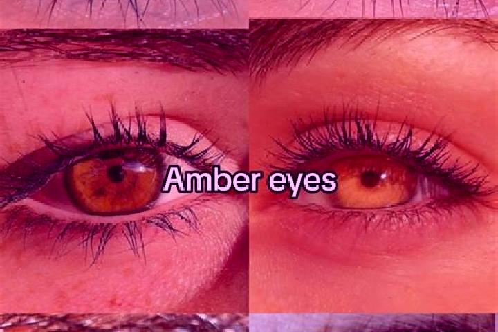 Keeping Up with the Paddys slot machine