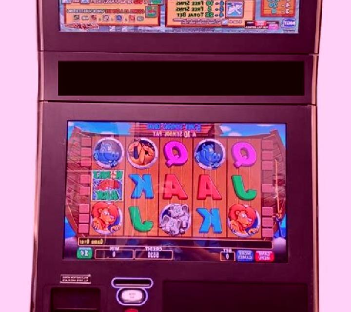 Noah s Ark (IGT) slot machine