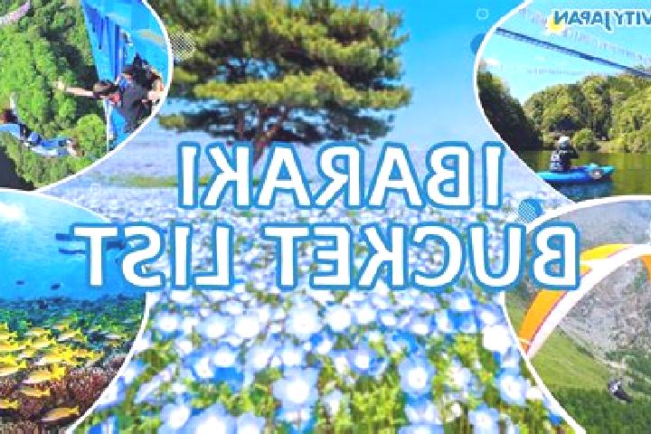 Rich Castle slot game