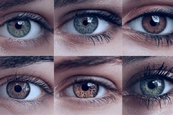 Riot Urban Wilds slot