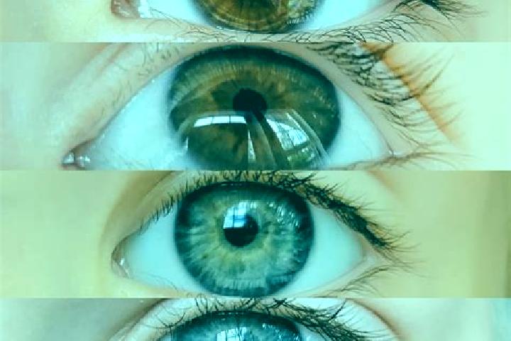 Roulette (Shuffle Games) slot game