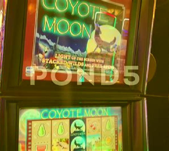 Sky Dogs slot game