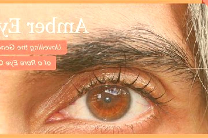 Viking Saga online slot