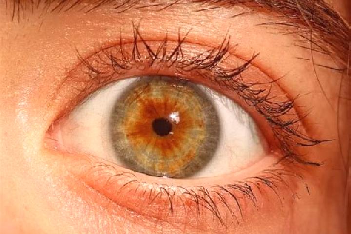 Vikings & Hogs slot machine